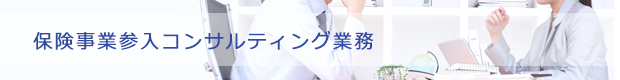 保険事業参入コンサルティング業務